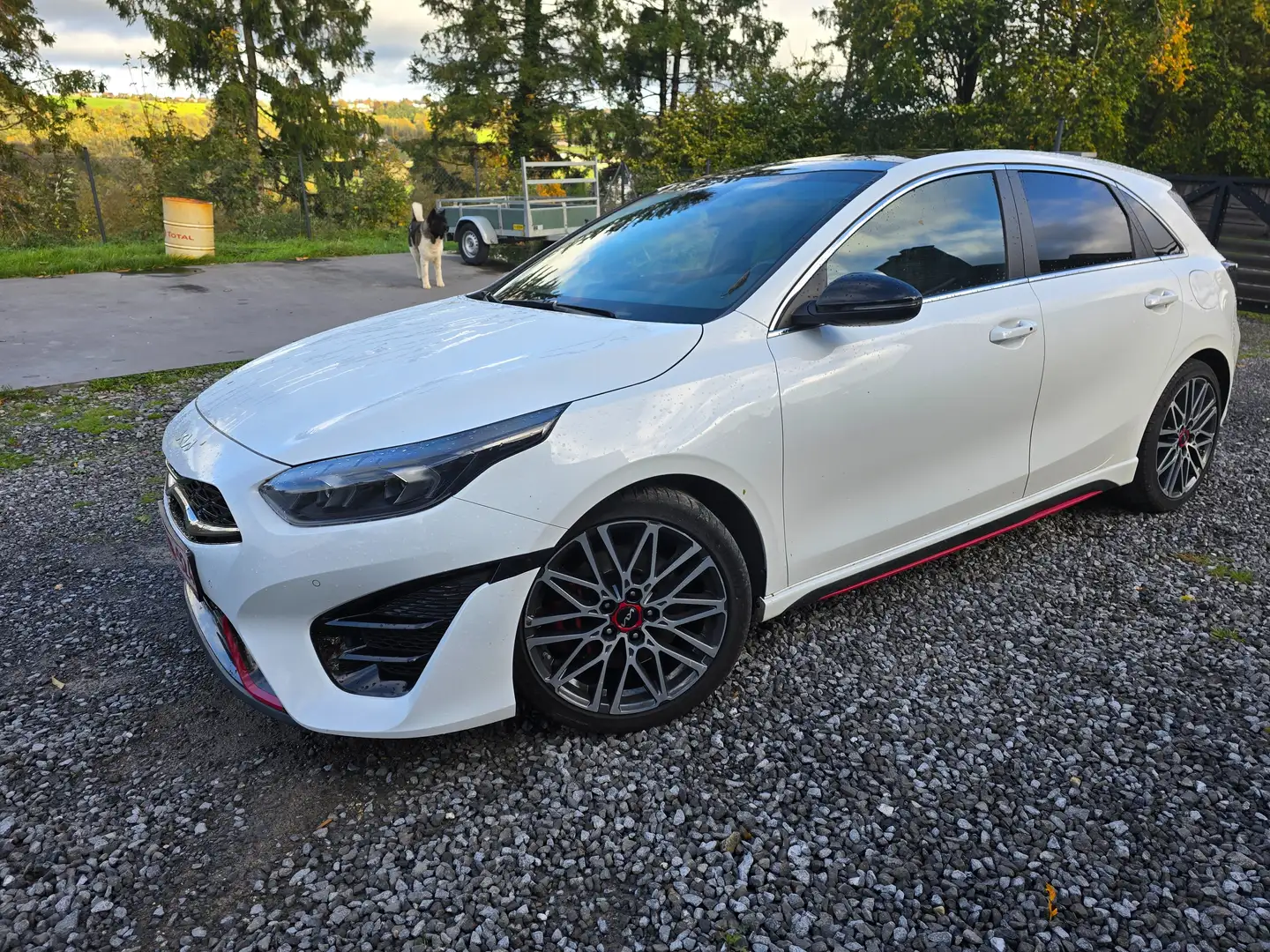 Kia Ceed / cee'd Ceed GT 1.6 T-GDi GT ISG DCT Blanc - 1