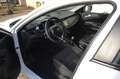 Alfa Romeo Giulietta 1.4 Turbo SUPER Wit - thumbnail 10