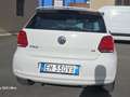 Volkswagen Polo Polo V 2012 5p 1.4 Highline dsg Fehér - thumbnail 12