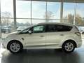 Ford S-Max Titanium/AUT/NAV/TEMP/R-KAM/AHK Argent - thumbnail 6
