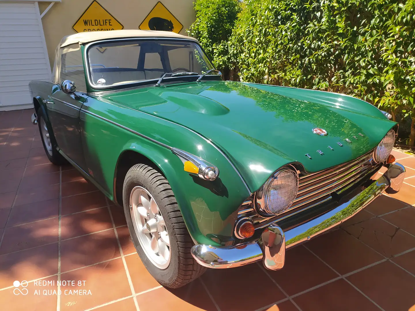 Triumph TR4 TR4A IRS Grün - 1