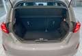 Ford Fiesta 1.5 Ecoboost 200 CV 5 porte ST Сірий - thumbnail 9