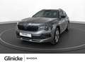 Skoda Kamiq 1.0 TSI Selection Grau - thumbnail 1