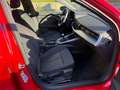 Audi A3 IV 2020 Sedan Sedan 35 1.5 tfsi Business Rosso - thumbnail 6