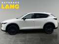 Mazda CX-5 2.5 e-SKYACTIV-G 194 M-Hybrid EU6d Homura FWD AUTO Weiß - thumbnail 2