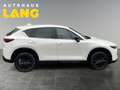 Mazda CX-5 2.5 e-SKYACTIV-G 194 M-Hybrid EU6d Homura FWD AUTO Weiß - thumbnail 6