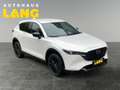 Mazda CX-5 2.5 e-SKYACTIV-G 194 M-Hybrid EU6d Homura FWD AUTO Weiß - thumbnail 7