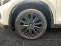 Mazda CX-5 2.5 e-SKYACTIV-G 194 M-Hybrid EU6d Homura FWD AUTO Weiß - thumbnail 14