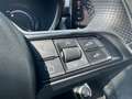 Alfa Romeo Tonale 1.6 diesel 130 CV TCT6 TI Automatica EE Noir - thumbnail 20