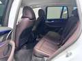 BMW X3 xdrive20d xLine 190cv auto Bianco - thumbnail 14