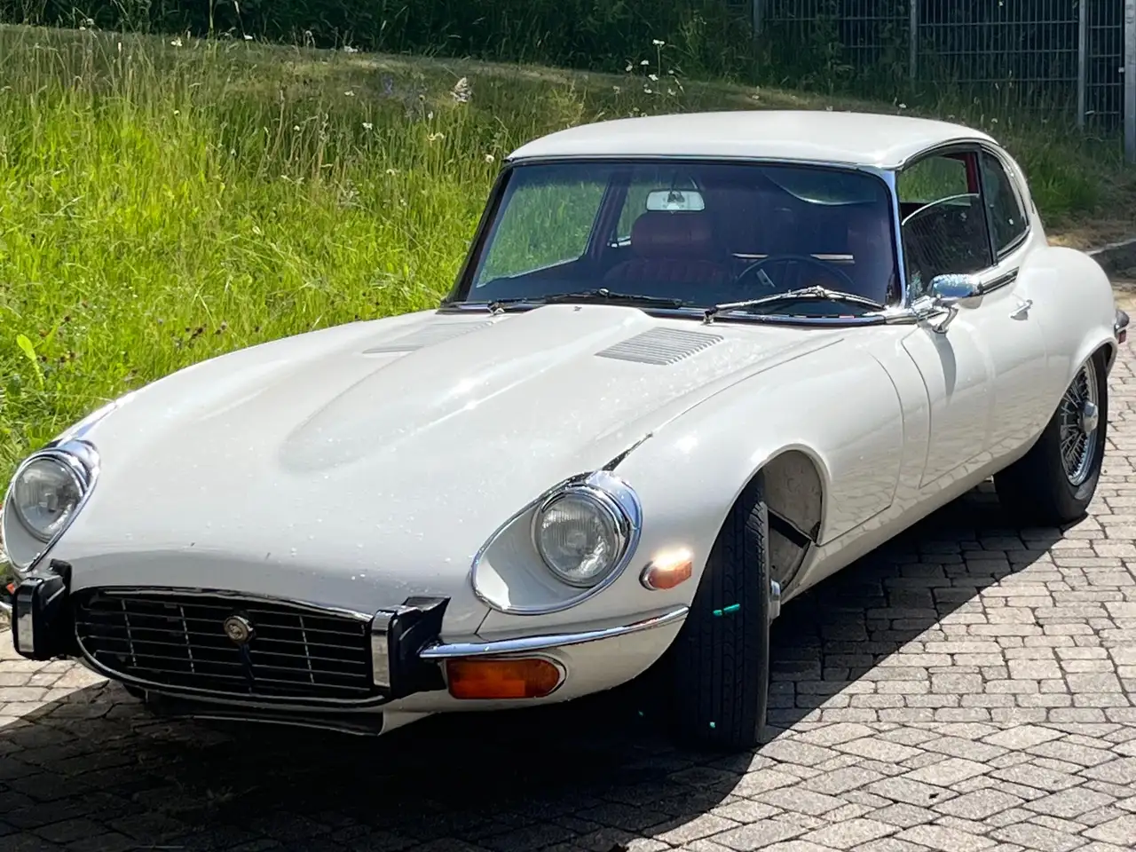 Jaguar E-Type SEV12, foto 2