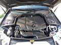 Mercedes-Benz C 220 D CABRIO PREMIUM PLUS - Full Optional Grijs - thumbnail 44
