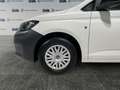 Volkswagen Caddy 2.0 tdi 102cv Cargo Business  IVA ESCLUSA Bianco - thumbnail 6