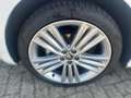 Skoda Scala 1.0 TSI Tour *LED*PDC*ACC*ALUFELGEN*KLIMA* Weiß - thumbnail 7