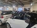 smart forTwo passion motore revisionato garanzia Blanc - thumbnail 6