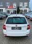 Skoda Octavia 1.8 TSI Combi Style*AUTOMATIK*CAR-PLAY* Weiß - thumbnail 6