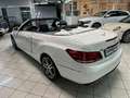 Mercedes-Benz E 220 CDI Cabrio Automatic Premium Bianco - thumbnail 4