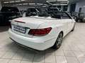 Mercedes-Benz E 220 CDI Cabrio Automatic Premium Bianco - thumbnail 3