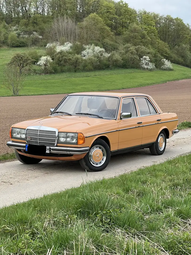 Mercedes-Benz Baureihe 123 280 E Orange - 2