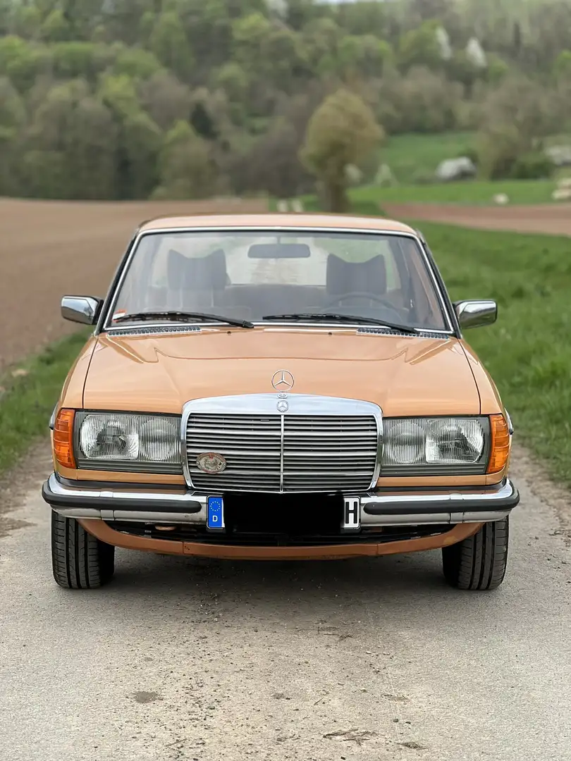 Mercedes-Benz Baureihe 123 280 E Orange - 1