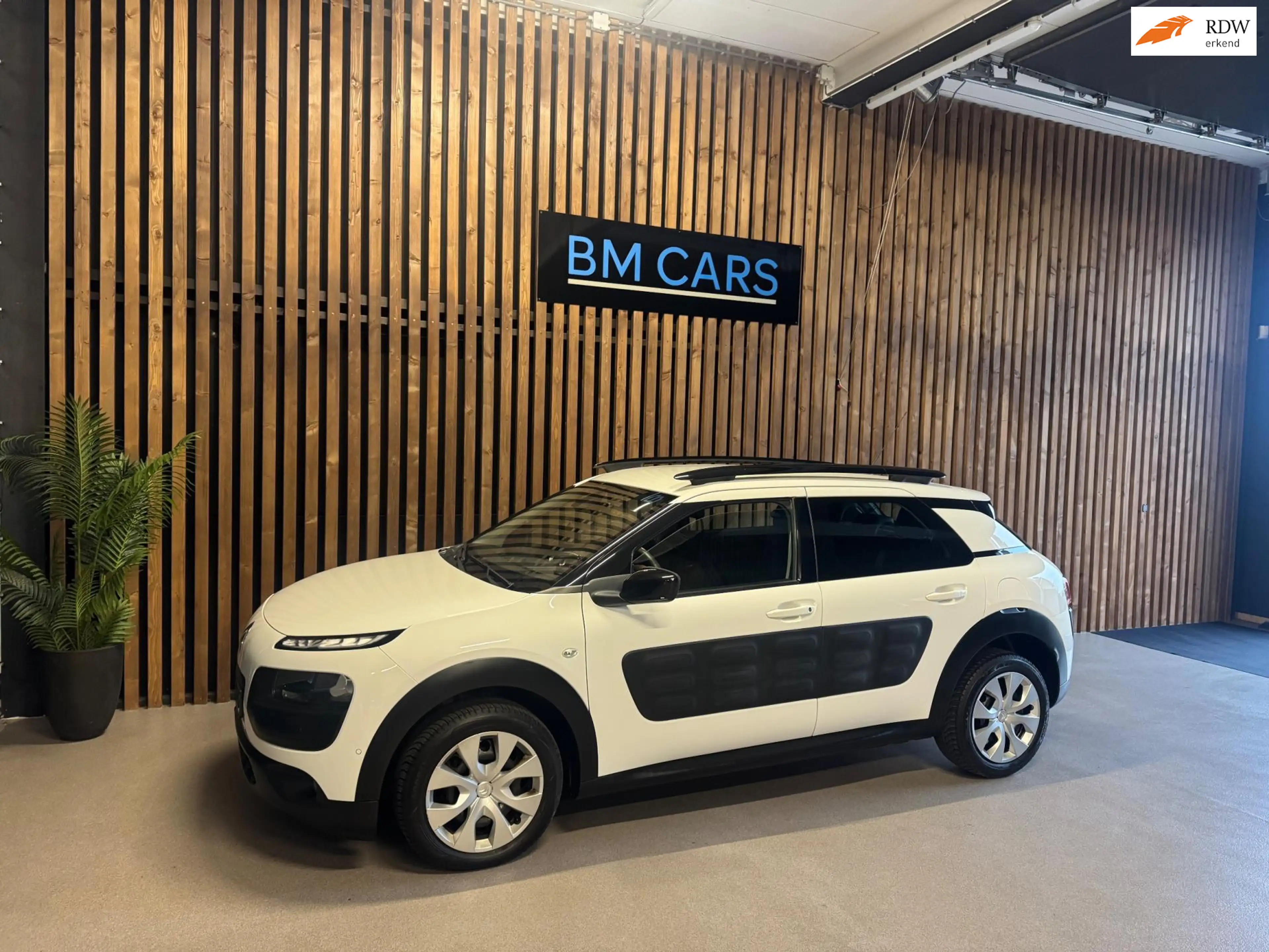 Citroen C4 Cactus 1.2 PureTech Business Plus Airco, Camera,Pdc