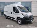 Fiat Ducato 2.3 Mjt L2H2 Autocarro N1 Bianco - thumbnail 1