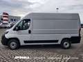 Fiat Ducato 2.3 Mjt L2H2 Autocarro N1 Bianco - thumbnail 2