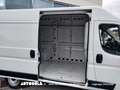 Fiat Ducato 2.3 Mjt L2H2 Autocarro N1 Bianco - thumbnail 4