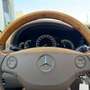Mercedes-Benz S 500 Largo Aut. Negro - thumbnail 42