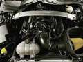 Ford Mustang Shelby GT350 R VENDIDO!! crna - thumbnail 10