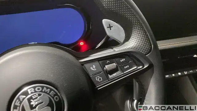 Alfa Romeo Tonale view 21