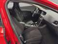 Volvo V40 Momentum/AUTOMATIK/ZAHNRIEMEN NEU Rot - thumbnail 11