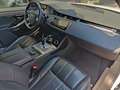 Land Rover Range Rover Evoque 2.0D mhev I4-L.Flw 150 CV S AWD Auto CATENE FATTE! Blanc - thumbnail 17