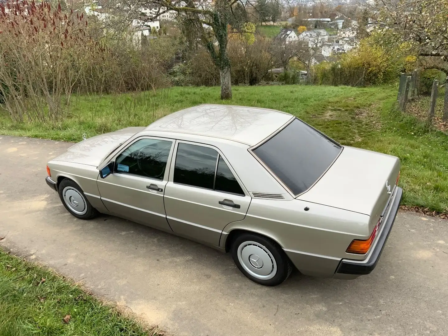 Mercedes-Benz 190 190+D Argento - 1