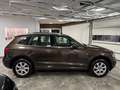 Audi Q5 2.0 TDI quattro / S-Line Automatik Pano Xenon Braun - thumbnail 5