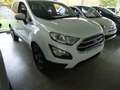 Ford EcoSport ECOSPORT 1.0 EcoBoost TITANIUM Blanco - thumbnail 4