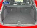 Ford Focus Sportbreak 1.0 Ecoboost MHEV ST-Line X 155 Aut. - thumbnail 12