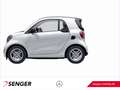 smart forTwo EQ fortwo 22 kW-Bordlader Cool & Audio-Paket 15" Weiß - thumbnail 3