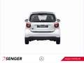 smart forTwo EQ fortwo 22 kW-Bordlader Cool & Audio-Paket 15" Weiß - thumbnail 6