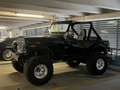 Jeep CJ-5 prototipo completamente omologato iscritto asi - thumbnail 2