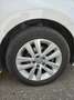 Volkswagen Polo Polo 1.2 TSI (Blue Motion Technology)Comfortline Wit - thumbnail 7