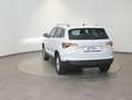 Skoda Karoq 4x4 Selection TDI DSG Weiß - thumbnail 4