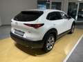Mazda CX-30 Exclusive *Matrix*360°*ACC*Carplay*Bose* Blanco - thumbnail 3