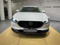 Mazda CX-30 Exclusive *Matrix*360°*ACC*Carplay*Bose* Blanco - thumbnail 8