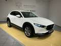 Mazda CX-30 Exclusive *Matrix*360°*ACC*Carplay*Bose* Blanco - thumbnail 1