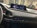 Mazda CX-30 Exclusive *Matrix*360°*ACC*Carplay*Bose* Blanco - thumbnail 14