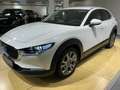 Mazda CX-30 Exclusive *Matrix*360°*ACC*Carplay*Bose* Blanco - thumbnail 7