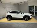 Mazda CX-30 Exclusive *Matrix*360°*ACC*Carplay*Bose* Blanco - thumbnail 2