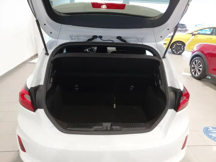 Ford Fiesta 1.0 EcoBoost MHEV ST-Line 5p (2021) 2023, foto 8