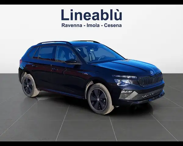 Skoda Kamiq view 3